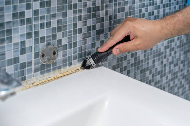 Best Certified Mold Removal  in Melody Hill, IN