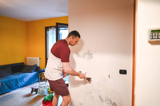 Certified Mold Removal in Melody Hill, IN