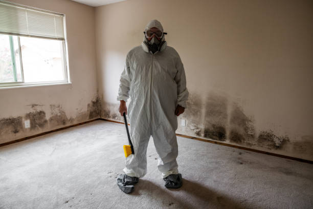 Best Commercial Mold Removal  in Melody Hill, IN